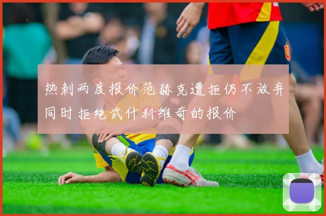 热刺两度报价范赫克遭拒仍不放弃同时拒绝武什科维奇的报价